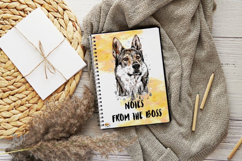 Notýsek ČSV/Saarloos