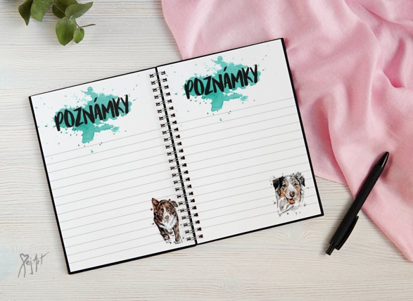 Notýsek Border Kolie/AO