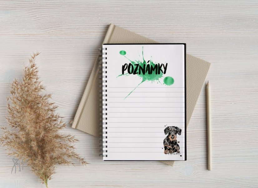 Notýsek Jezevčíci