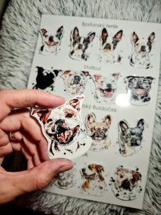 Najdi můj stín Placatky