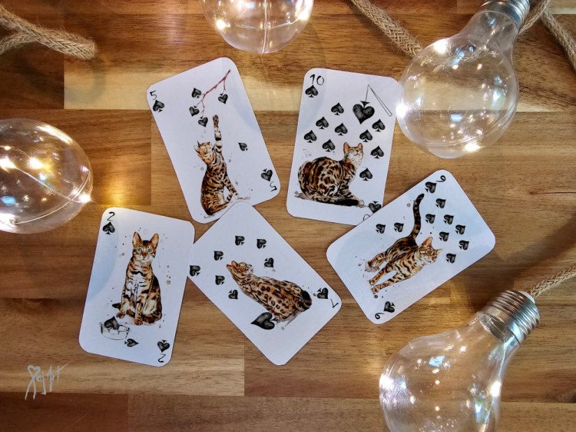 Pack of Cats - Hrací Karty