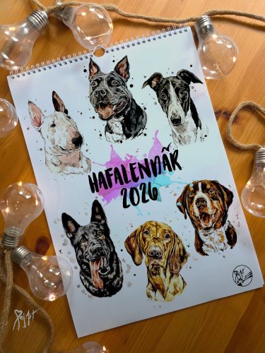 HAFALENDÁŘ 2026