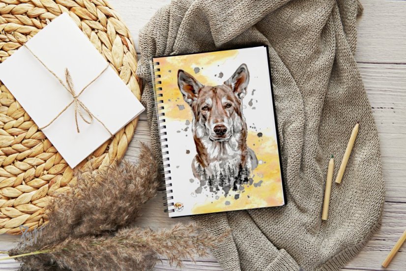 Notýsek ČSV/Saarloos