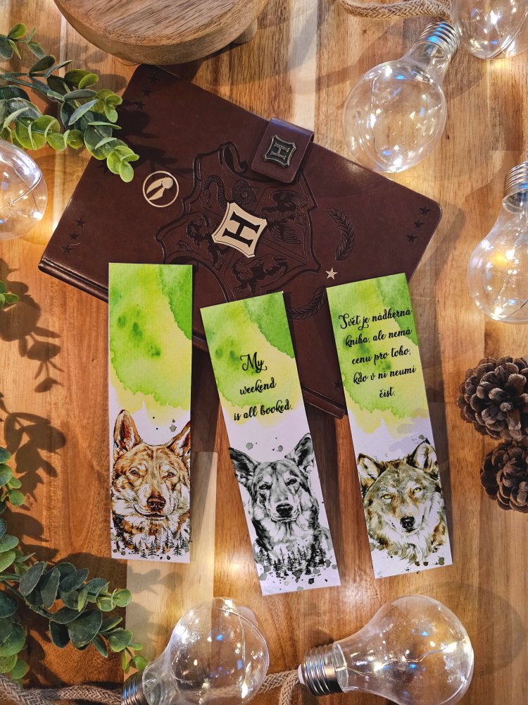 Vlci/Čsv/Saarloos - Varianta - Varianta 4