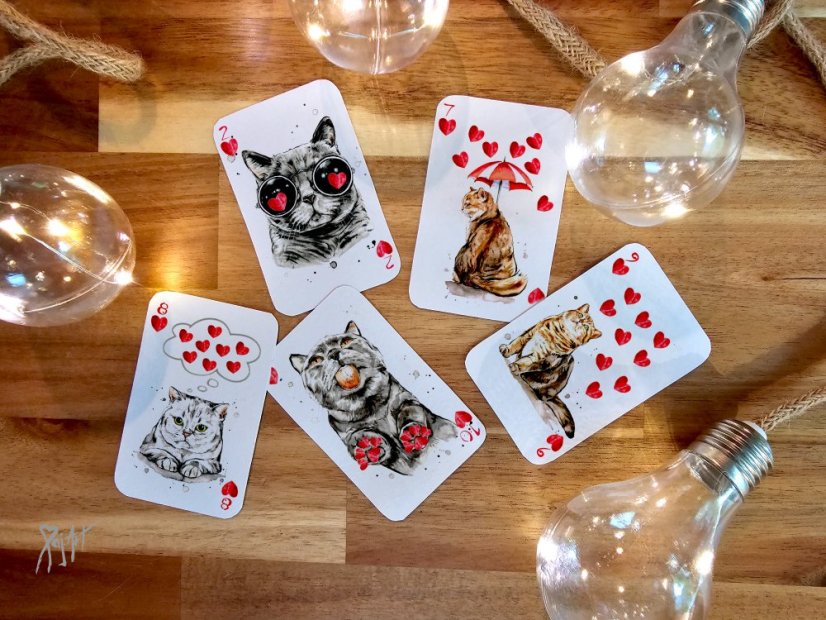 Pack of Cats - Hrací Karty