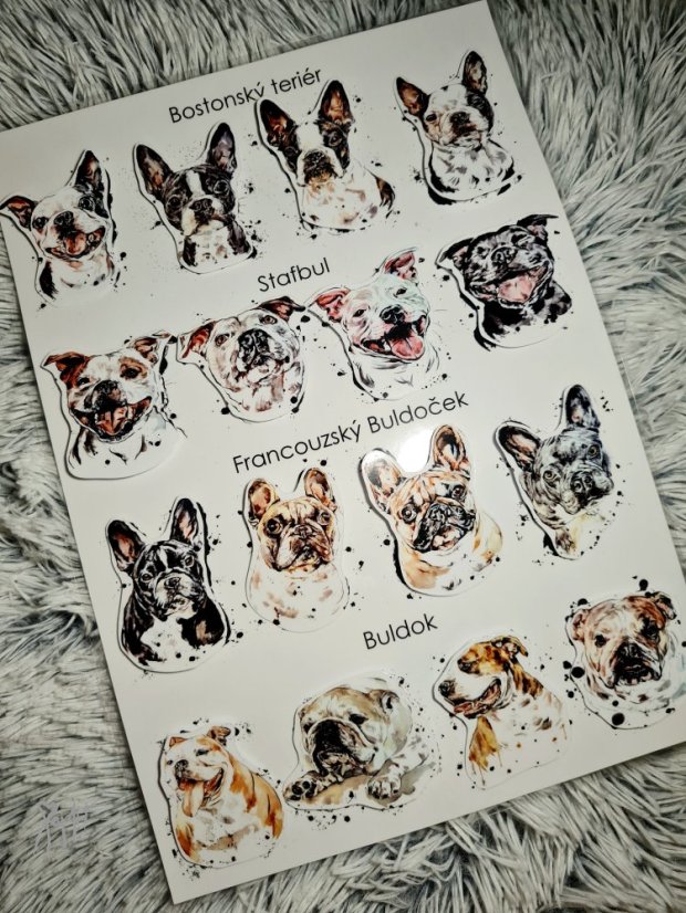 Najdi můj stín Placatky