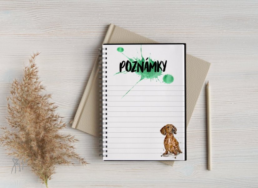 Notýsek Jezevčíci