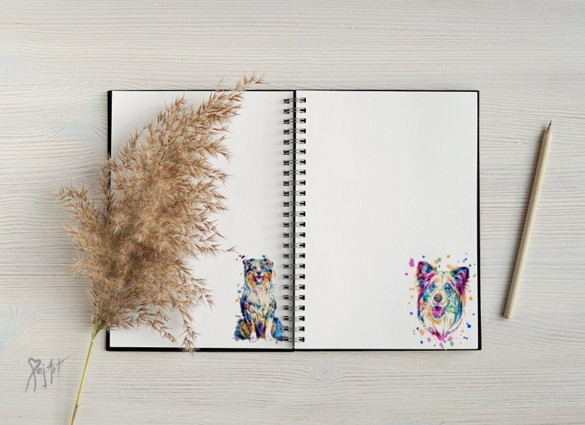 Notýsek Border Kolie/AO