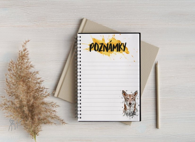 Notýsek ČSV/Saarloos