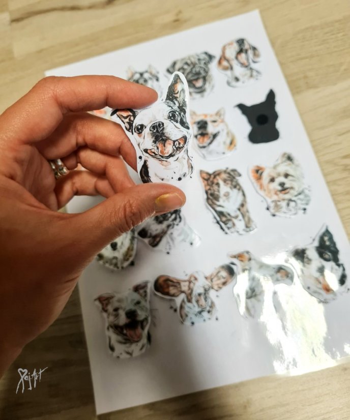 Najdi můj stín Pejsci