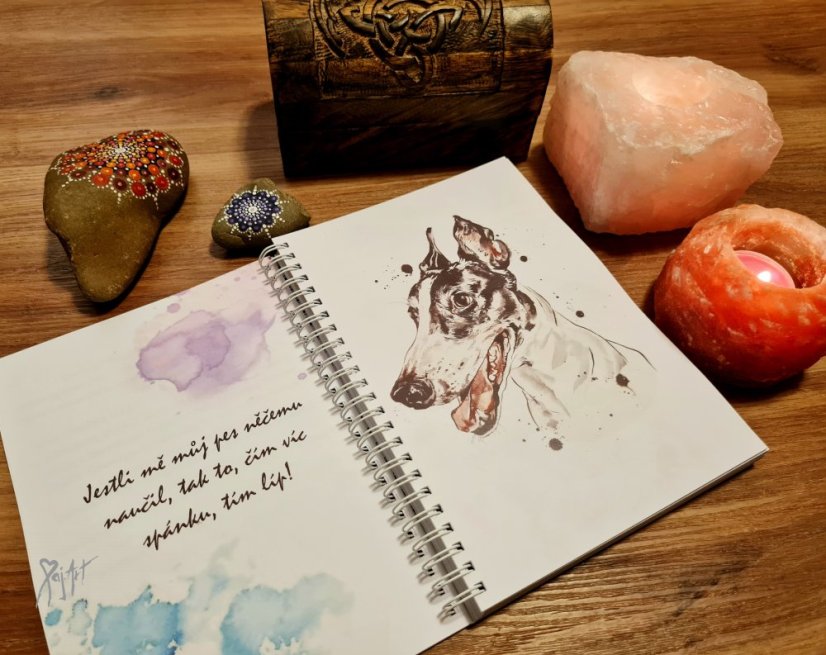 HafDiář Nedatovaný