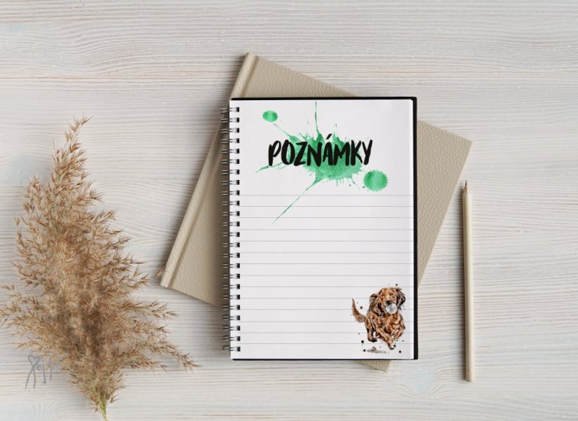 Notýsek Jezevčíci