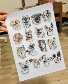 Najdi můj stín Pejsci