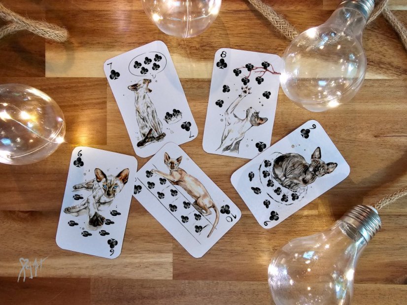 Pack of Cats - Hrací Karty