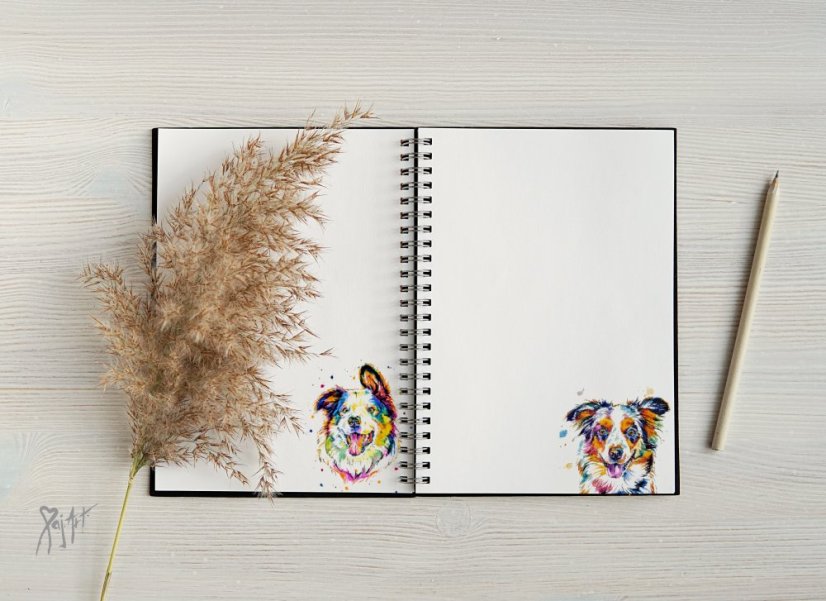 Notýsek Border Kolie/AO