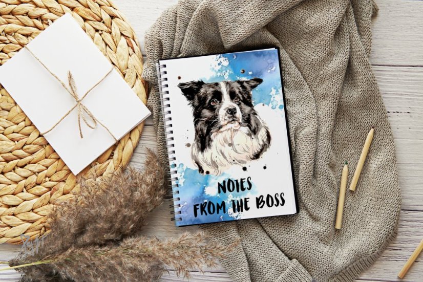 Notýsek Border Kolie/AO