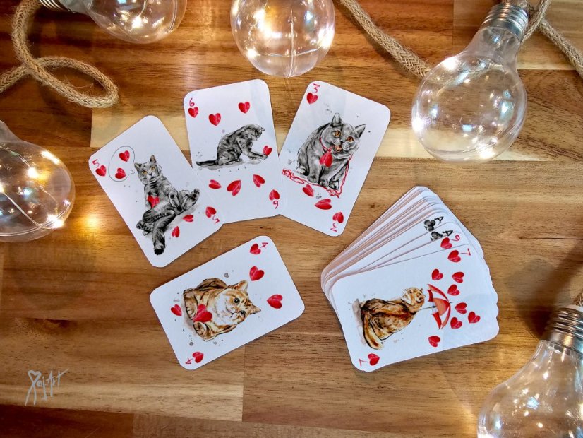 Pack of Cats - Hrací Karty