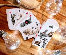 Pack of Cats - Hrací Karty