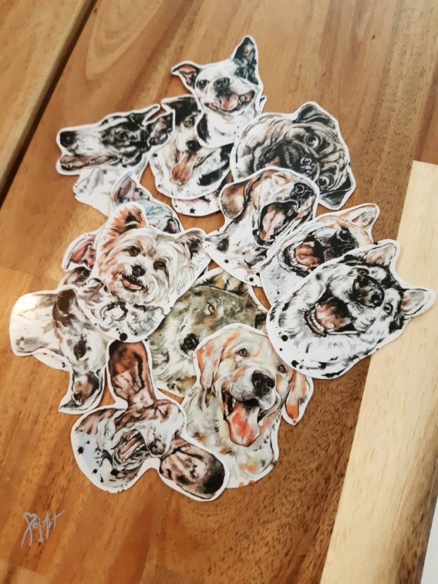 Najdi můj stín Pejsci