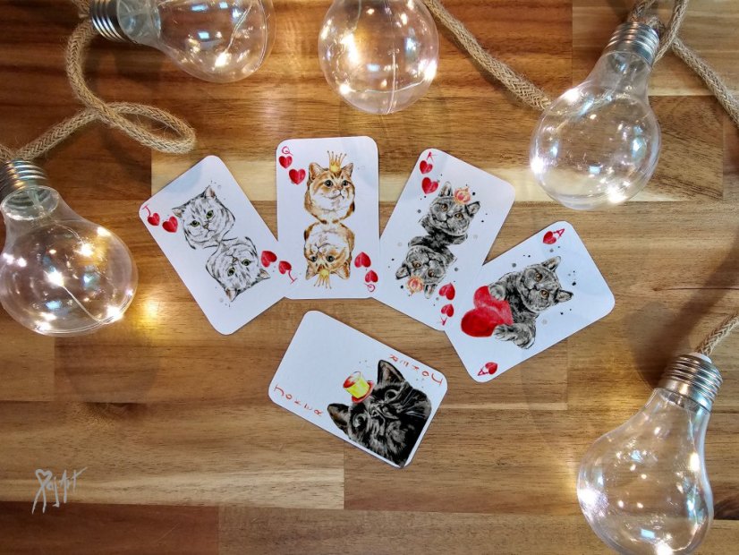 Pack of Cats - Hrací Karty