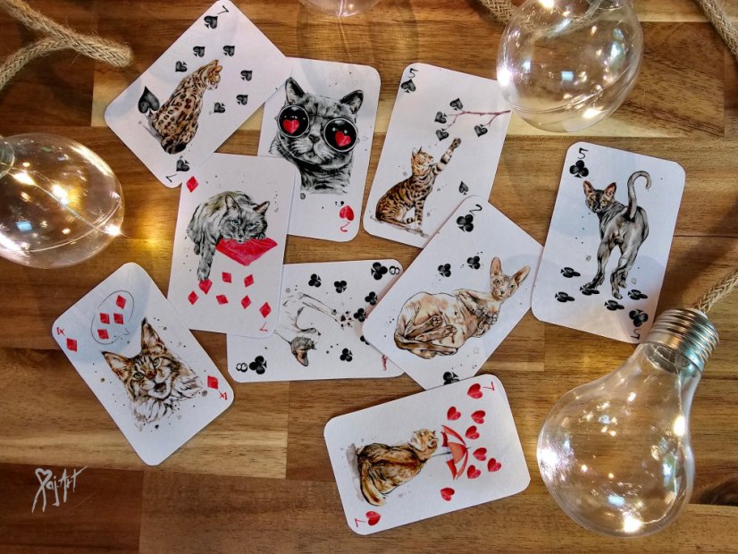 Pack of Cats - Hrací Karty