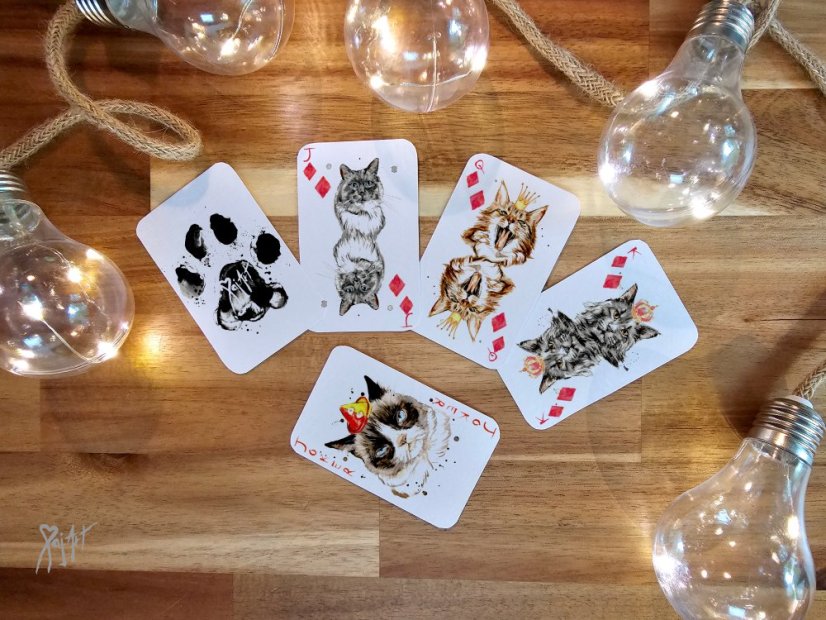 Pack of Cats - Hrací Karty