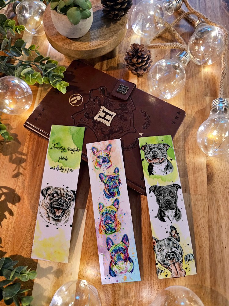 Placatky - Varianta - Varianta 1