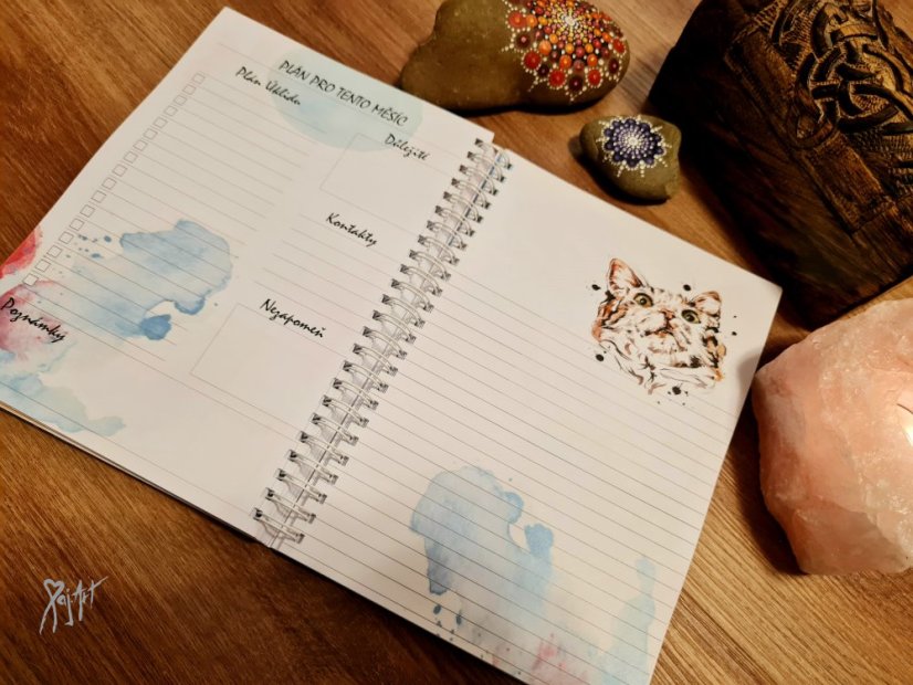 MňauDiář Nedatovaný