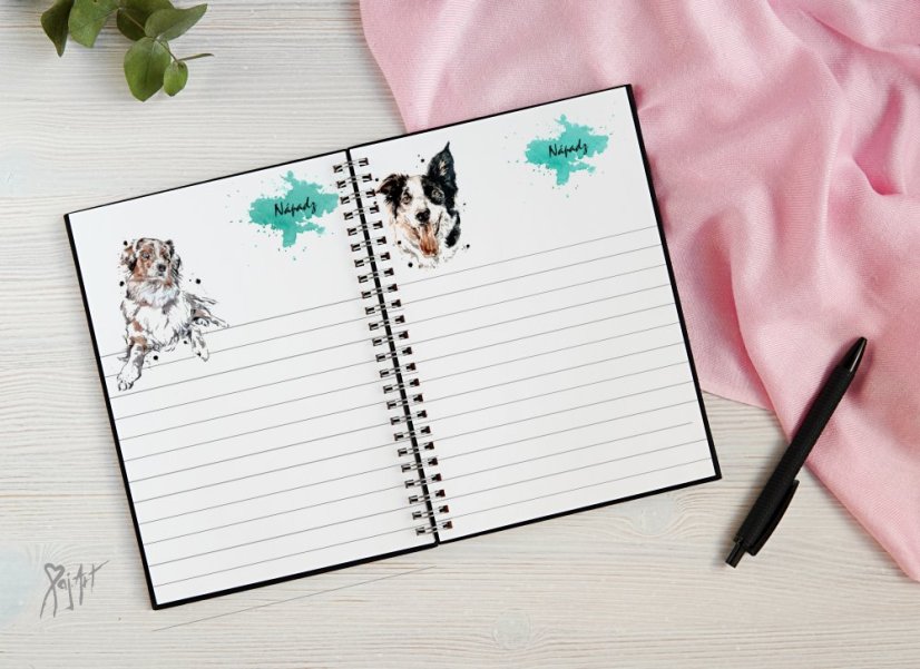 Notýsek Border Kolie/AO