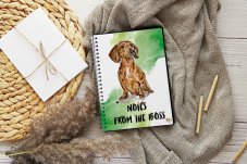 Notýsek Jezevčíci