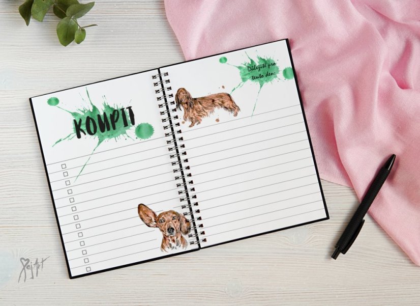 Notýsek Jezevčíci