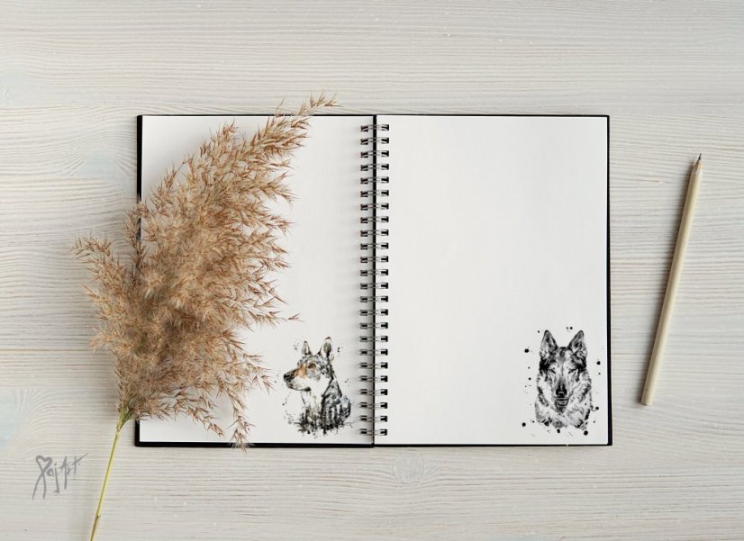 Notýsek ČSV/Saarloos