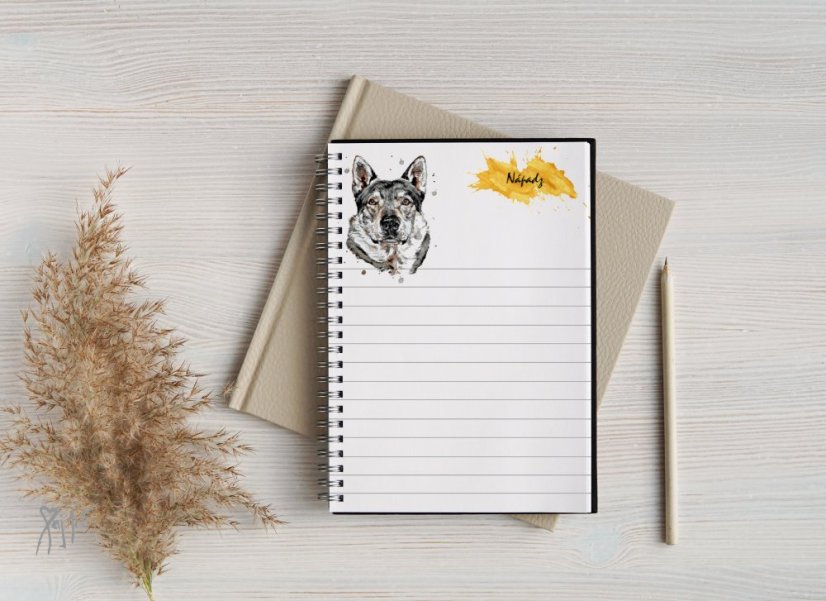 Notýsek ČSV/Saarloos