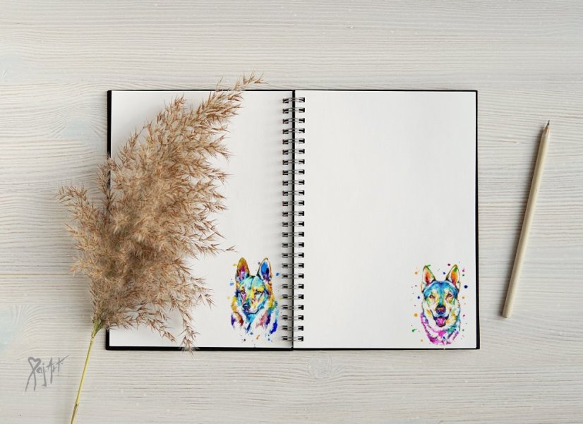 Notýsek ČSV/Saarloos