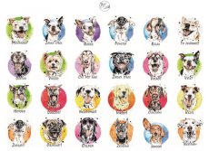 Samolepky mix psi 24ks A5