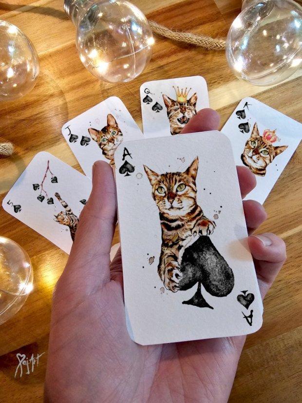 Pack of Cats - Hrací Karty