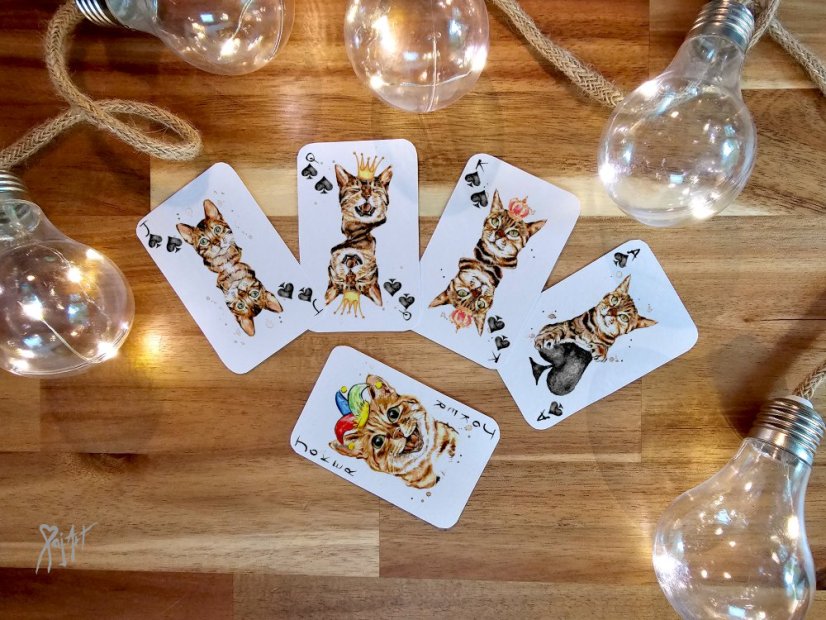 Pack of Cats - Hrací Karty