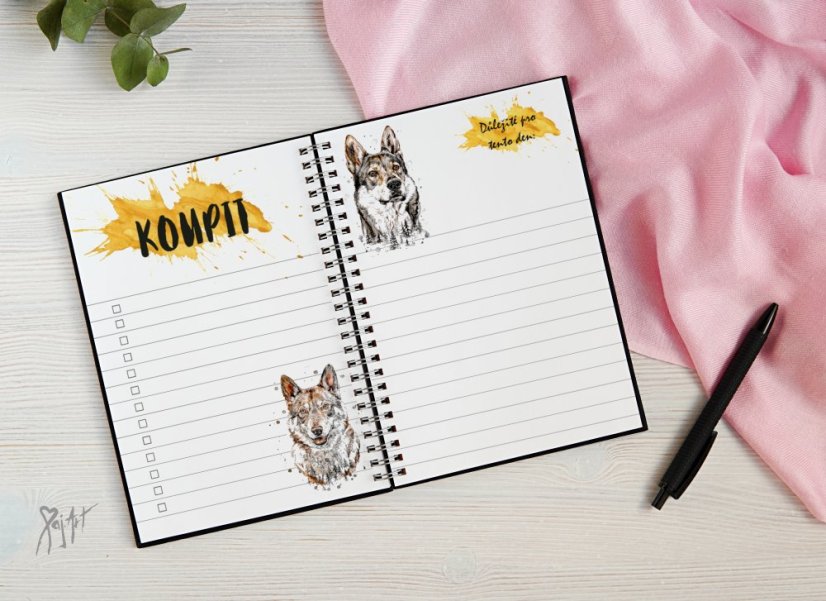 Notýsek ČSV/Saarloos