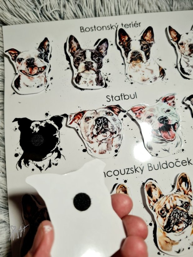 Najdi můj stín Placatky