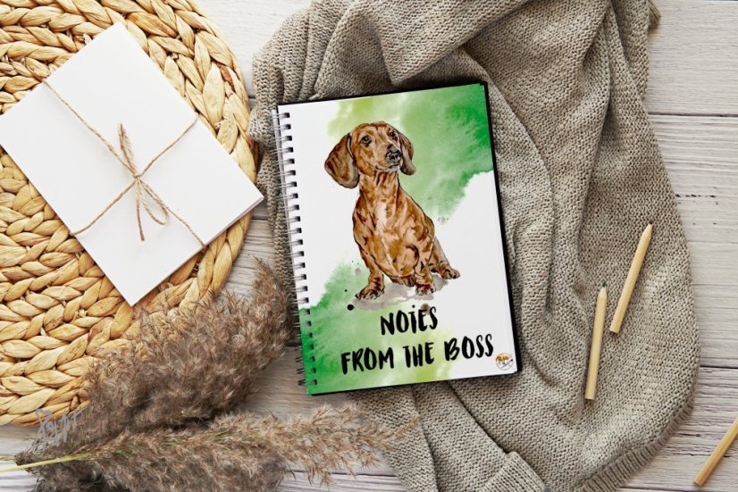 Notýsek Jezevčíci