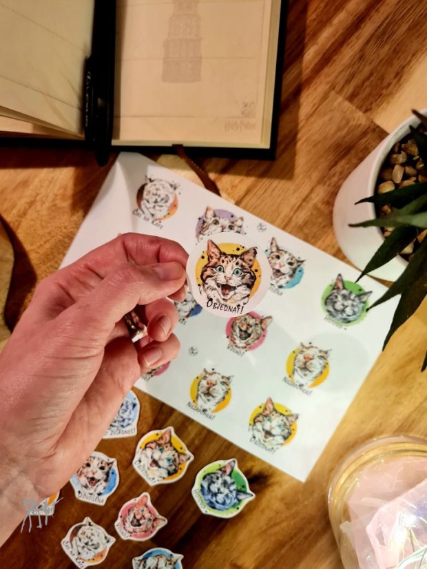 Samolepky Kočky 12ks