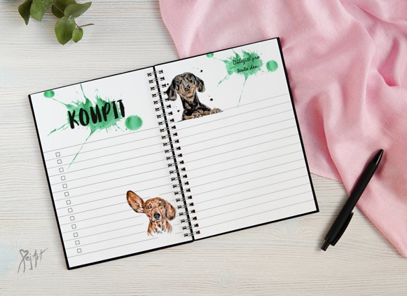 Notýsek Jezevčíci