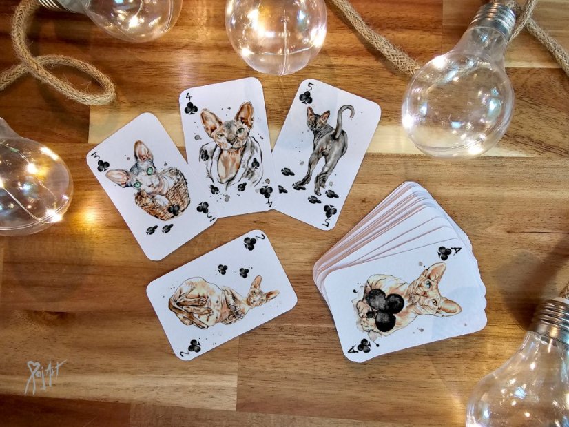 Pack of Cats - Hrací Karty