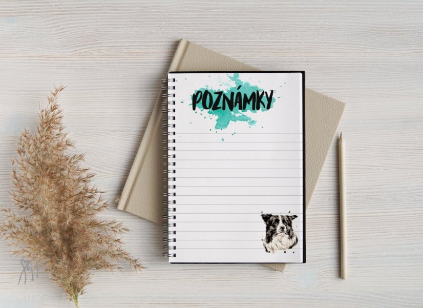 Notýsek Border Kolie/AO