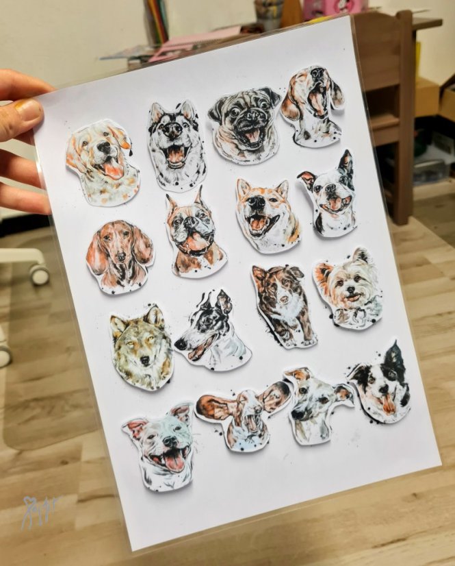 Najdi můj stín Pejsci