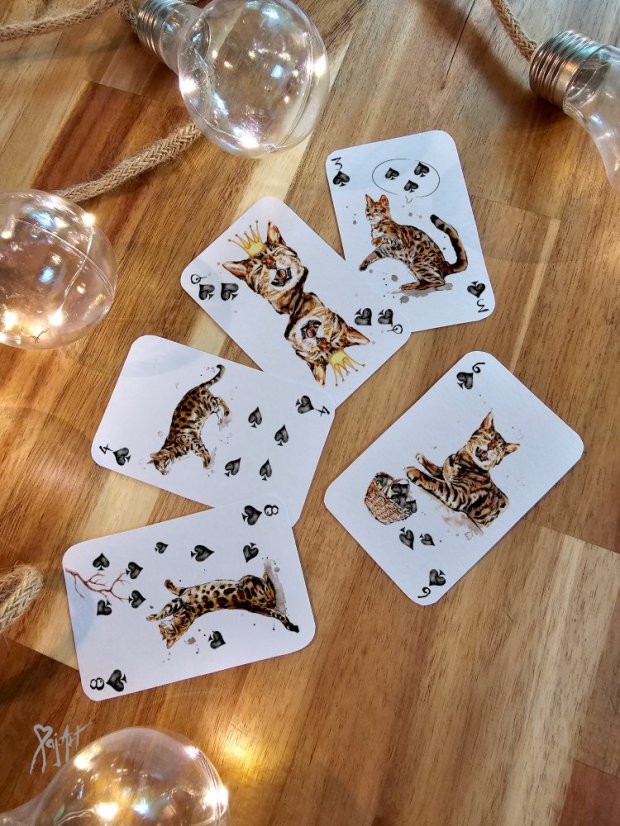 Pack of Cats - Hrací Karty