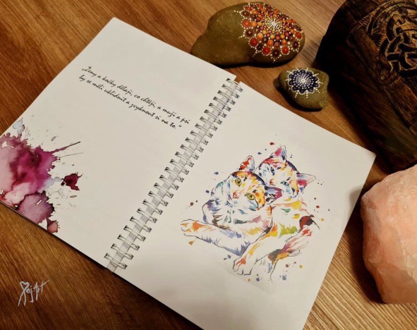 MňauDiář Nedatovaný