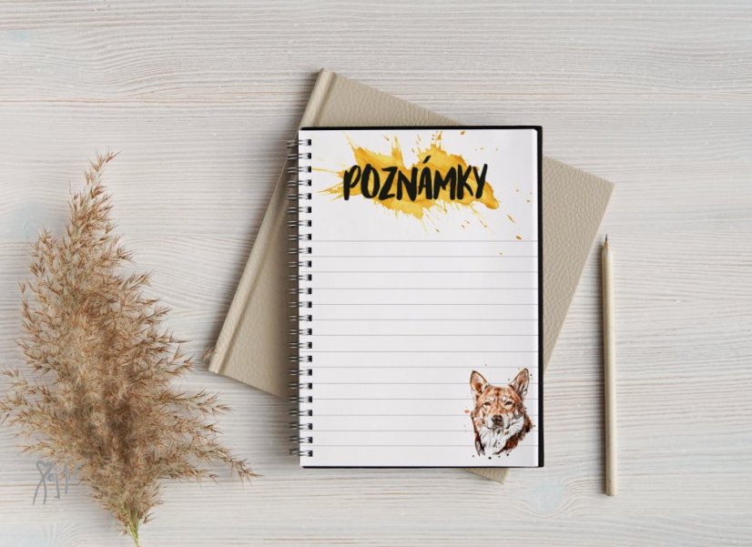 Notýsek ČSV/Saarloos