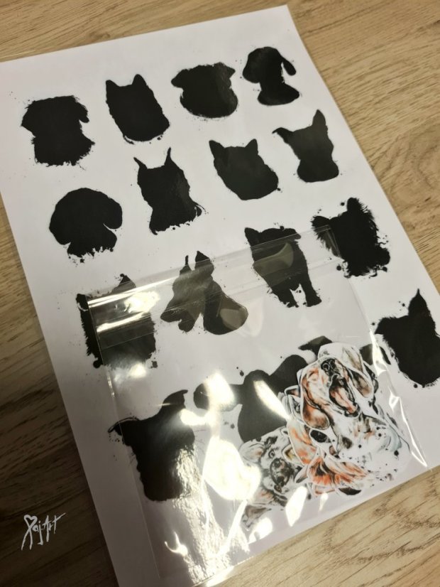 Najdi můj stín Pejsci