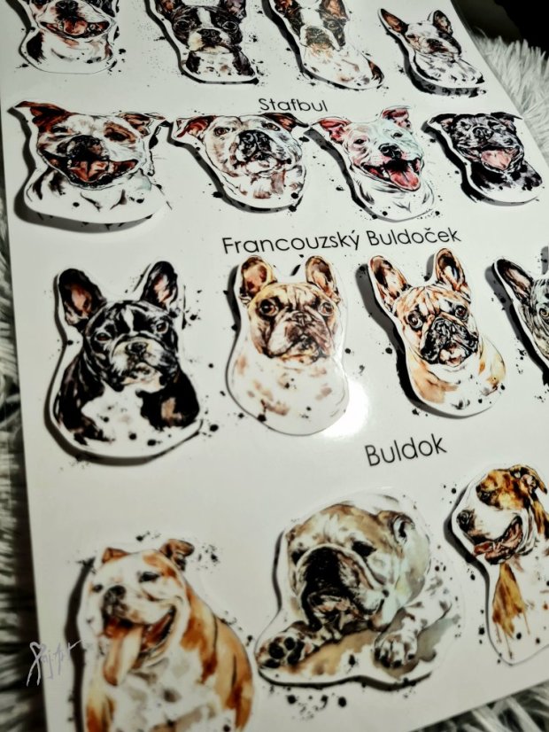 Najdi můj stín Placatky